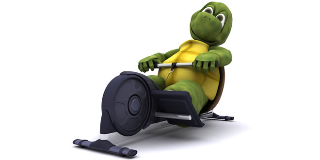 Rowing Machines as Home Gym Equipment